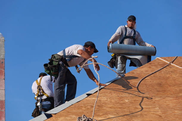 Best Roof Gutter Cleaning  in Mount Ivy, NY