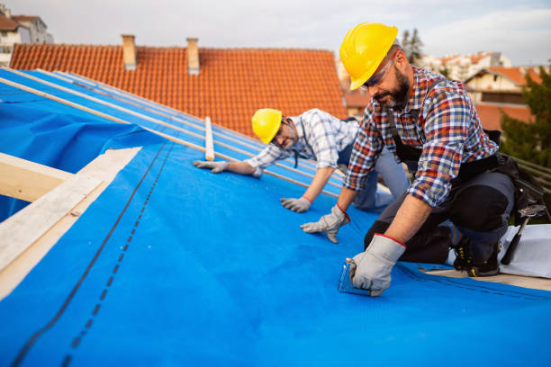Best Roof Gutter Cleaning  in Mount Ivy, NY